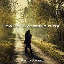 There would be no love in my life. How Do I Live Without You Lyrics Sandy Jones Kkbox