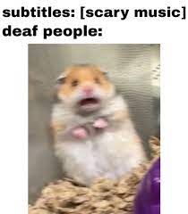 Cant Handle That Stress Funny Relatable Memes Stressed Meme Scary Music