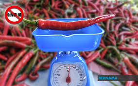 Ground cayenne pepper is a spice staple, and most likely the hottest one you're going to have around. Bernama Going From Media Photographer To Agropreneur