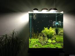 Nano Cube 60l Dennerle Nano Cube Nano Aquarium Cube Aquarium