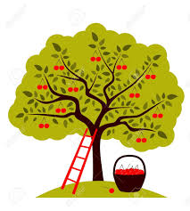 Resultat De Recherche D Images Pour Cerisier Fruit Dessin Dessin Peinture Cerisier