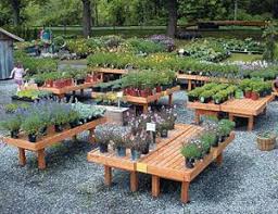 Pin On Garden Nursery