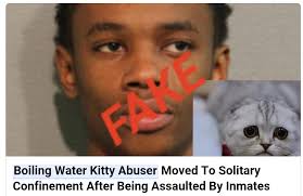 News" articles alleging Leon Teague, the Chicago man responsible for  burning a cat with boiling water, was sexually assualted in prison are a  hoax. The articles are circulating via "3dprinting" and "reportquickly";