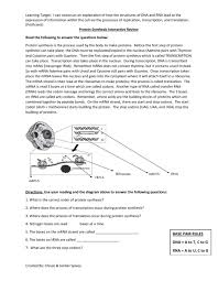 Messenger rna is the type of rna that encodes proteins and is translated by the ribosome mrna: Protein Synthesis Interactive Review Worksheet