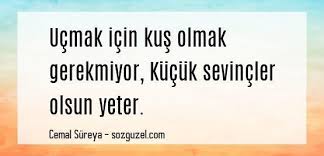 Guzel Sozler Cemal Sureya Sozguzel Com Guzel Sozler Resimli Sozler Guzel Soz Sevinc