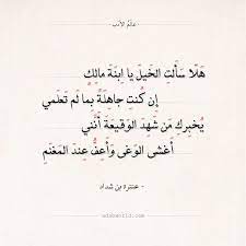 شعر عنترة بن شداد هلا سألت الخيل يا ابنة مالك عالم الأدب poetic words quotes words
