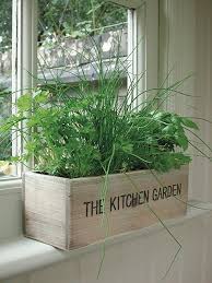 kitchen window herb garden, indoor