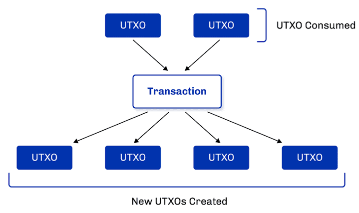 UTXO Model Explained: How Bitcoin Tracks Every Coin You Own