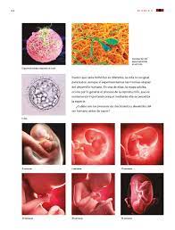 El libro se encuentra con las imágenes y todos los bloques en pdf por el ministerio de educación del gobierno. Ciencias Naturales Sexto Grado 2017 2018 Ciclo Escolar Centro De Descargas