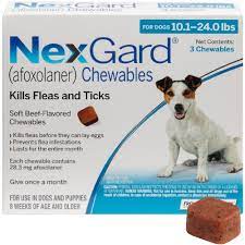 How long does it take for nexgard to work on fleas. Nexgard Chewables For Dogs 10 24 Lbs 3 Chews On Sale Ep Rx