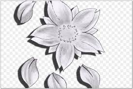 Check spelling or type a new query. Contoh Sketsa Bunga Sakura Dengan Pensil Yang Mudah Dan Sederhana