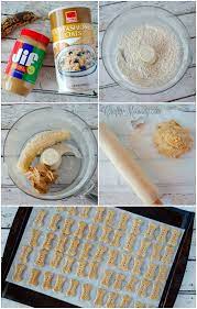 3 Ingredient Puppy Treat Recipe Dog Biscuit Recipes Dog Food Recipes Dog Treats Homemade Recipes
