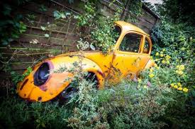 Highlight Ein Bewachsenes Stuck Der Karosserie Eines Vw Kafers Homestory Homestoryde Home Interior Inspiring Furni Vw Kafer Wohntrends Wohnen Und Leben