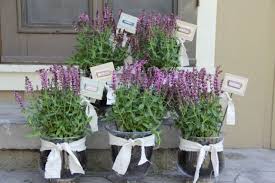 Lavendel Im Garten Gestalten In Pflanztopfen Am Hauseingang Garten Lavendel Pflanzen Garten