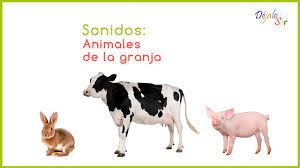 Sonidos Animales De La Granja Youtube