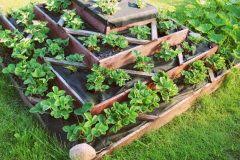 Nutzen sie unser garten portal um ihren eigenen garten zu planen und auszubauen. Garten Anlegen Nach Dem Neubau So Gehen Sie Sinnvoll Vor