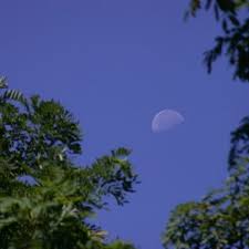 I Saw The Moon In A Blue Sky Why How Can This Happen I Thought The Moon Was Visible Only At Night Today Images Daytime Moon Images
