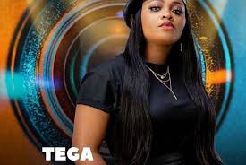 7 hours ago · bbnaija 2021: Pbw5djavejfrhm