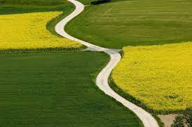 Works of art are disappearing, stolen by a master thief, a master of disguise. Wege Und Pfade Bilder Fotos