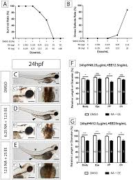 It can be prescribed to anybody who has a period and wants to delay. The Primodos Components Norethisterone Acetate And Ethinyl Estradiol Induce Developmental Abnormalities In Zebrafish Embryos Scientific Reports