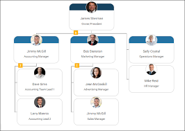 Executive Team Chart Example Organimi