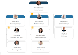 executive team chart example organimi