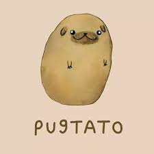 10 Funny Animal Puns To Make Your Monday Pun Again Cute Animal Illustration Cute Puns Funny Pictures