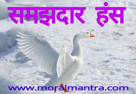 Image result for चिड़िया दाना खाती