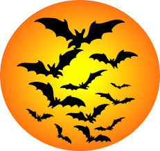 Image result for halloween