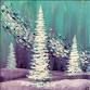Dreaming of Winter Nights event image