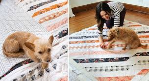 Tagesdecke patchwork patchwork kissen quilten mit der hand diy nähprojekte recycling basteln creative ideen stoffreste gefesselt. Quilten 3 Tipps Zum Thema Stoffauswahl Spoonflower Blog