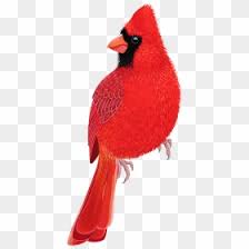 free bird png images hd bird png download page 28 vhv vhv rs