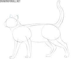 Good news!!.you can now get my drawing course for 90% off in flash sale for july 2021.here's the link: How To Draw A Cat Easy