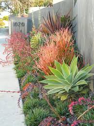 Pin On Gardening