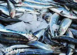 الضغط وتدليك الخصيتين إضافة الى تفسير رؤية ضرب الخصيتين بالمنام. Ù…Ù‡Ù†Ø¯Ø³ Ø±Ø§Ø¦Ø¯ Ø§Ù„ÙŠØ§Ù†ØµÙŠØ¨ ØªÙØ³ÙŠØ± Ø­Ù„Ù… Ø³Ù…Ùƒ ÙƒØ«ÙŠØ± Type Up Com