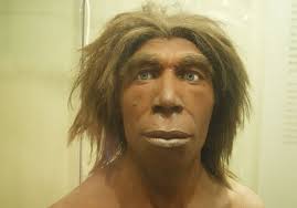The expected is short term of expected average breeding time. Neandertaler Erbe Beeinflusst Sogar Unsere Psyche Archaische Dna Spielt Eine Rolle Fur Tagesrhythmus Rauchen Und Stimmung Scinexx De