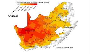 Image result for Pharnaceum brevicaule