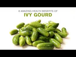 The picture of ivy gourd looks like this,for your confirmation you can observe the picture once. 8 Amazing Health Benefits Of Ivy Gourd Youtube