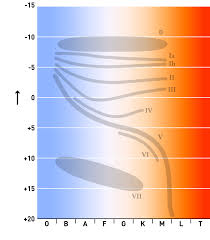 (physics, astronomy) the nucleosynthesis process, in stars where temperatures exceed 108k, in which helium is converted to carbon and subsequently to oxygen, neon and magnesium. Red Giant Wikipedia