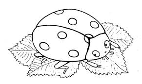 Find the best insects coloring pages for kids and adults and enjoy coloring it. Insects Coloring Pages 100 Pictures Free Printable