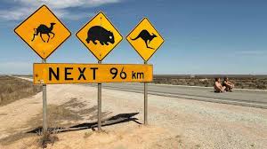 Maybe you would like to learn more about one of these? Iconic Australian Food 17 Australian Foods You Should Try
