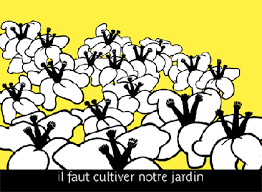 Il Faut Cultiver Notre Jardin Voltaire French Quotes French Phrases Typographic Design