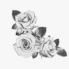 Estas son las mejores técnicas, y no son las que estás pensando. 1001 Ideas Sobre Como Dibujar Una Rosa Paso A Paso