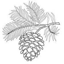 Pine cone art pine cone crafts pine cones pinecone tattoo pine cone drawing arts and crafts paper crafts felt crafts simple line drawings. Pine Cone Coloring Pages Download Coloring Page Pyrography Patterns Embroidery Patterns Wood Burning Patterns