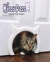 The Kitty Pass Interior Cat Door Pet Door Hidden Litter Boxes Cats