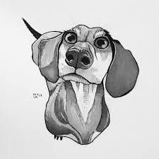 Black And White Dachshund Drawing I Challenged Myself To Draw 30 Dogs In 30 Days Animal Drawings Sketches Animal Drawings Animal Sketches