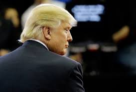 Donald Trump and the Ku Klux Klan: A ...