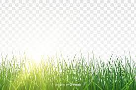 Download Green Grass Border Realistic Design For Free Grass Silhouette Grass Seamless Grass