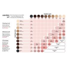Now, please direct your attention to our hair color chart below. Ion Permanent Creme Hair Color By Color Brilliance Permanent Hair Color Sally Beauty