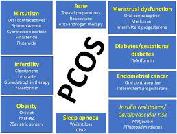 Therapeutic Targets In Polycystic Ovary Syndrome And Pharmacological Download Scientific Diagram